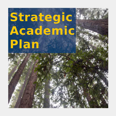 Strategic Academic Plan